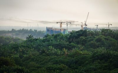 亚太建筑业市场速览:承包商超负荷承接高位市场需求